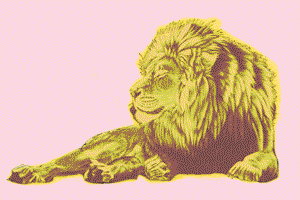 Gif animé lion dort